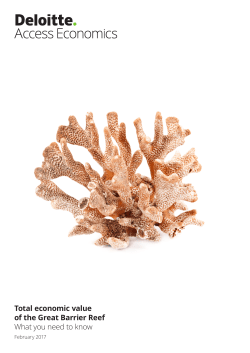 Total economic value of the Great Barrier Reef What you need to know