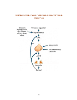 normal regulation of adrenal glucocorticoid secretion