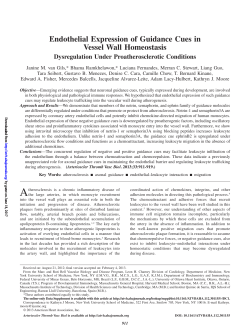 Endothelial Expression of Guidance Cues in Vessel Wall Homeostasis