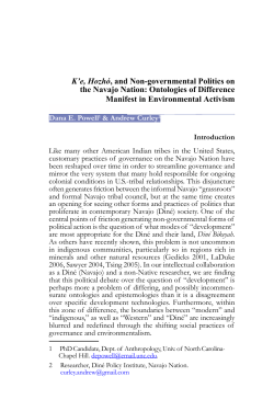 K`e, Hozhó, and Non-governmental Politics on the Navajo Nation