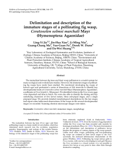 Delimitation and description of the immature stages of a pollinating