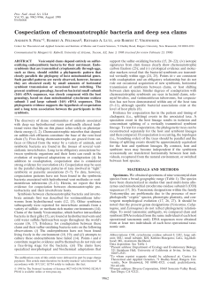 Cospeciation of chemoautotrophic bacteria and deep sea clams