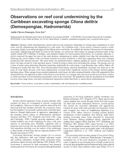 Observations on reef coral undermining by the