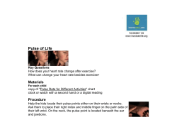 Pulse of Life: Measure Your Pulse