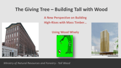The Giving Tree &ndash; Building Tall with Wood