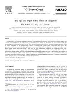 The age and origin of the Straits of Singapore