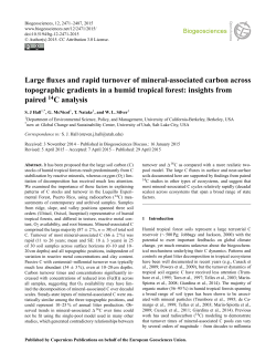 Large fluxes and rapid turnover of mineral