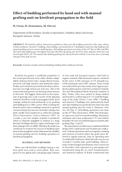 Effect of budding performed by hand and with manual grafting unit