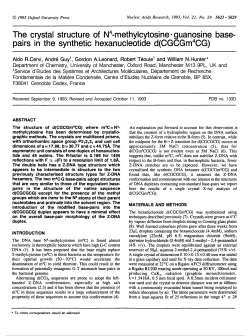 The crystal structure of N4-methylcytosine-guanosine base