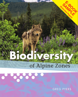 an E-Book Sample. - Newbridge Educational Publishing