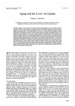 Aging and the Liver: An Update