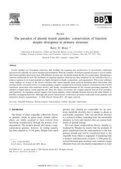 The paradox of plastid transit peptides: conservation of function
