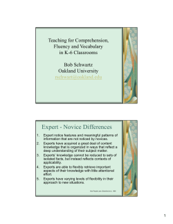 Expert - Novice Differences