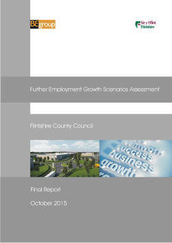 Flintshire Further Employment Growth Scenarios Assessment