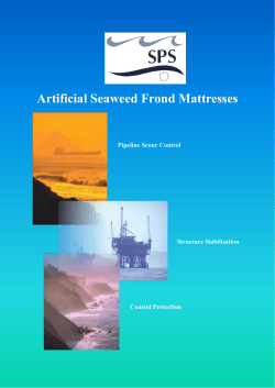 Frond Mat Leaflet - Subsea Protection Systems