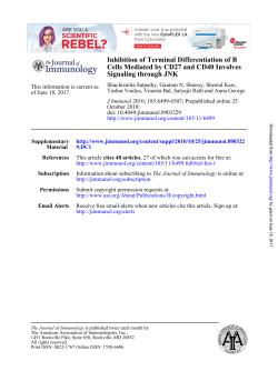 Inhibition of Terminal Differentiation of B Cells Mediated by CD27