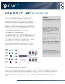 perimeter security re-invented