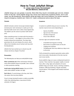 How To Treat Jellyfish Stings - Dr Lopezgranja