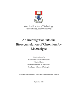 - WIT Repository - Waterford Institute of Technology