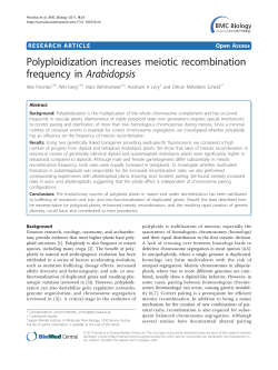 Polyploidization increases meiotic recombination frequency in