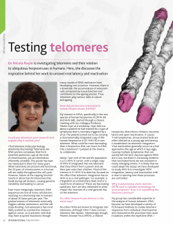 HHV-6, TELOMERES AND CHROMOSOME STABILITY
