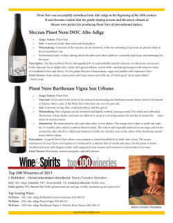Meczan Pinot Nero DOC Alto Adige Pinot Nero Barthenau Vigna