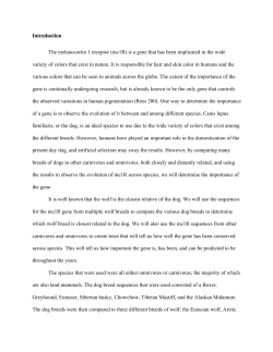 Introduction The melanocortin 1 receptor (mc1R) is a