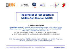 The concept of Fast Spectrum Molten Salt Reactor (MSFR) The