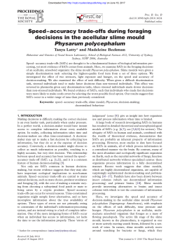 Speed&ndash;accuracy trade-offs during foraging decisions in the acellular
