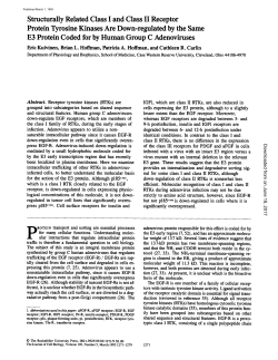 Structurally Related Class I and Class II Receptor Protein Tyrosine