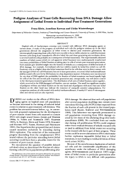 Pedigree Analyses of Yeast Cells Recovering from DNA