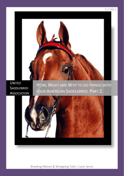 How, What and Why to do things with your American Saddlebred