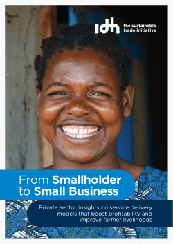 From Smallholder to Small Business