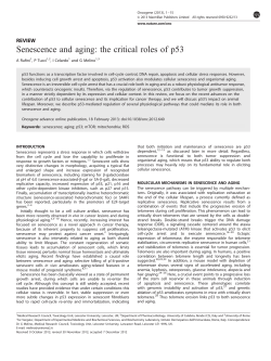 Senescence and aging: the critical roles of p53
