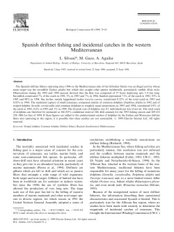 Spanish driftnet fishing and incidental catches in the western