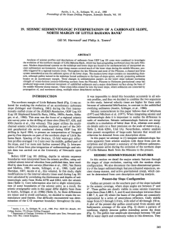 19. Seismic Sedimentologic Interpretation of a Carbonate Slope