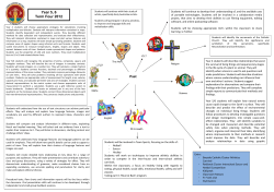 Patterns: An Integrated Process Approach