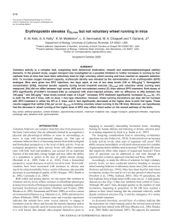 Erythropoietin elevates VO2,max but not voluntary