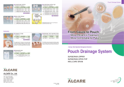 Pouch Drainage System