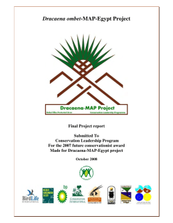Dracaena ombet-MAP