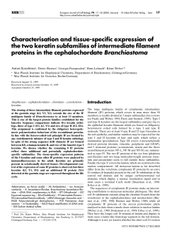 Characterisation and tissue-specific expression of the two keratin