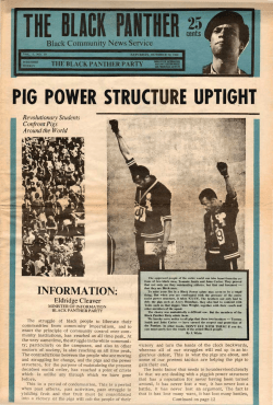 pig power structure uptight