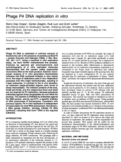 Phage P4 DNA replication in vitro