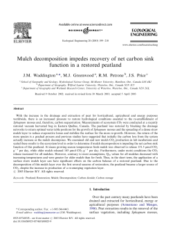 Mulch decomposition impedes recovery of net carbon sink