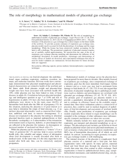 The role of morphology in mathematical models of placental gas