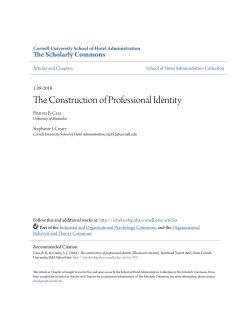 The Construction of Professional Identity