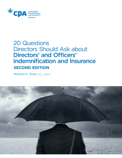20 Questions Directors Should Ask About Directors` and Officers