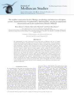 Molluscan Studies - Oxford Academic