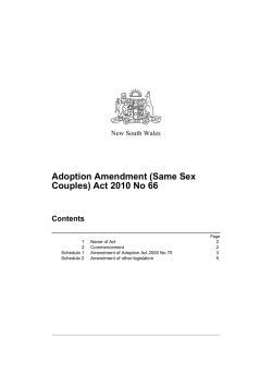 Adoption Amendment (Same Sex Couples) Act 2010 No 66