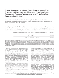 Proton Transport in Maize Tonoplasts Supported by Fructose